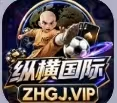 纵横国际